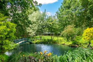 Feature Pond- click for photo gallery